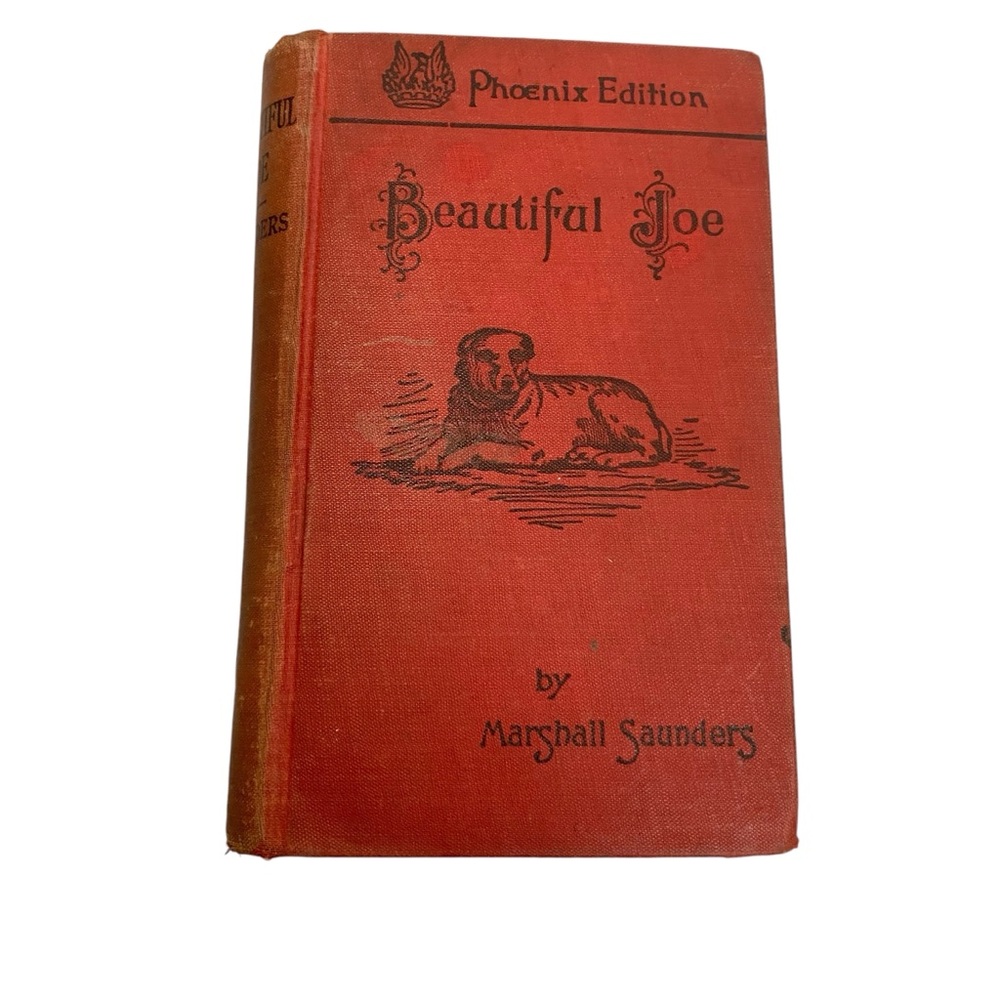 Vintage Cloth Covered Book Antique 1893 Beautiful Joe by Marshall Saunders